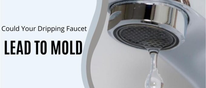 Could Your Dripping Faucet Lead to Mold?